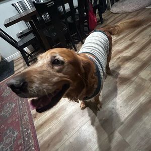 Meet your Posher, Asher